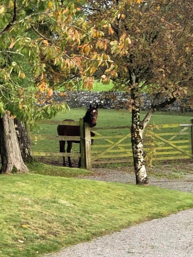 The Grooms Cottage スランリグ エクステリア 写真